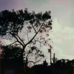 客源站长小蛙导航
